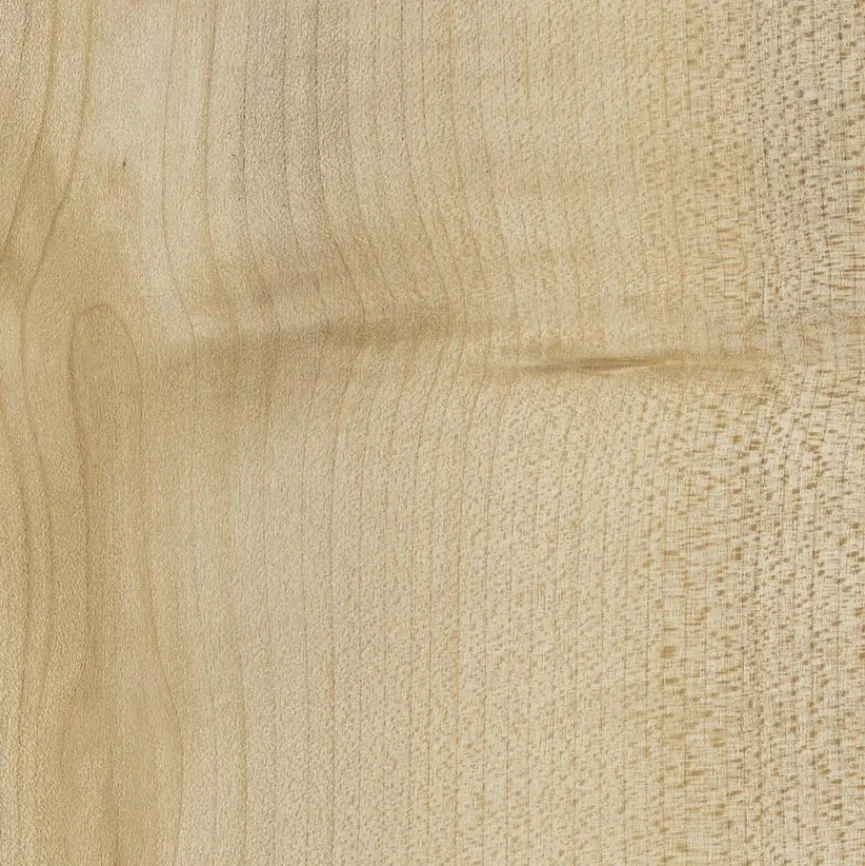 Mäusbacher Aktenschrank Big Profi Office