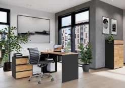 Online Germania Aktenschrank Lissabon Graphit