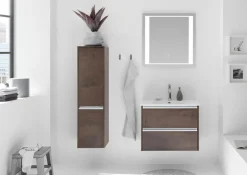 Pelipal Badezimmerspiegel PE 6040 Transparent