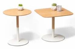 Online Beistelltisch Zoe Eiche