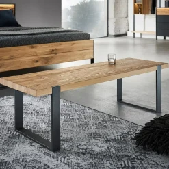 Thielemeyer Bettbank Steel