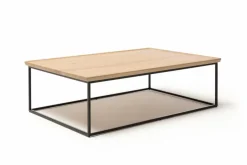 Rolf Benz Couchtisch 934-211