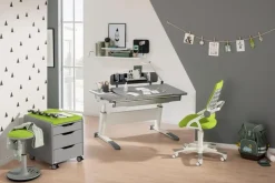 New Paidi Drehstuhl Yvo Lime