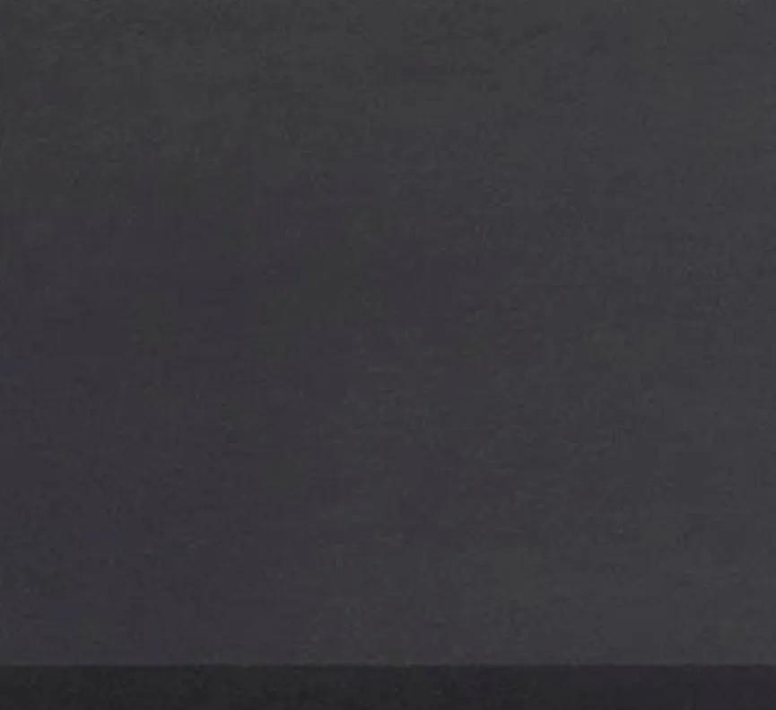 Best blomus Duschabzieher Flit Schwarz