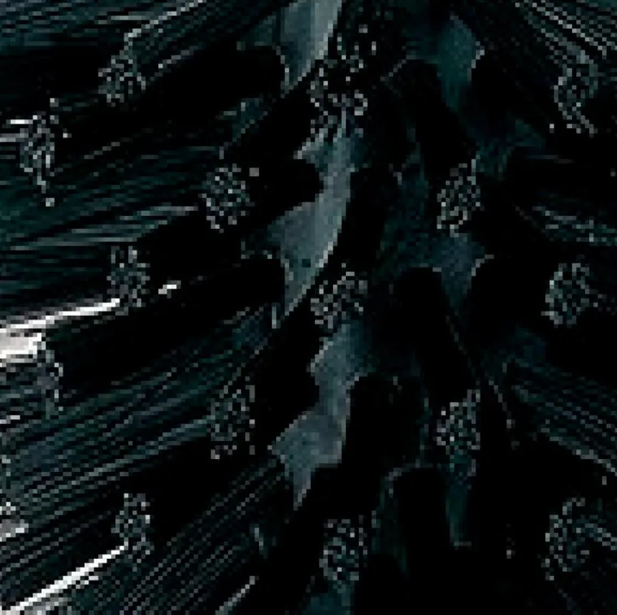 Kela Ersatzbürstenkopf La Brosse