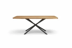 Musterring Esstisch Helmond 200 x 100 cm