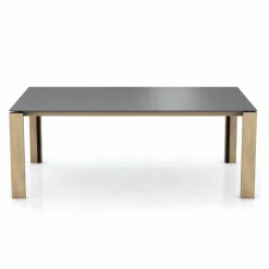 Mobitec Esstisch Terra 220 x 100 cm Schwarz