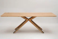 Boegner Esstisch Eschau 220 x 100 cm