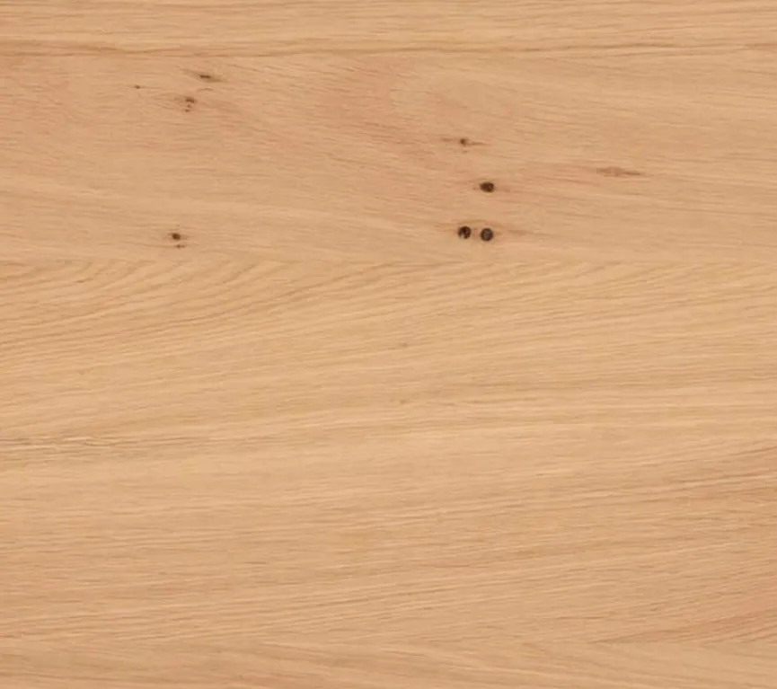 Boegner Esstisch Frankfurt 200 x 100 cm