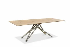 Musterring Esstisch Helmond 220 x 100 cm