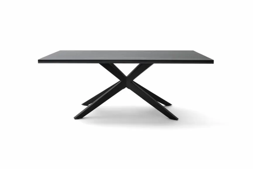 Clearance Musterring Esstisch Tiama 220 x 100 cm Eiche Schwarz