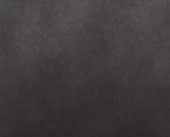 Hot MCA Freischwinger Acroma Dunkelgrau