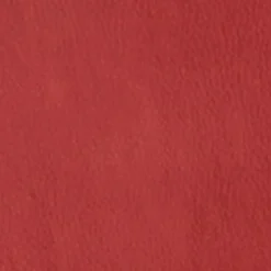 Hela Freischwinger Flora