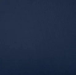 Outlet Musterring Freischwinger Nova N1014 Blau