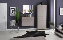 Online Garderobenschrank Shino Grau / Eiche