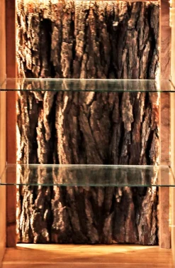 WOLFMÖBEL Highboard Bark 4067