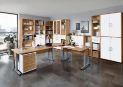 New FMD Hängeregistratur-Set Calvia Alteiche