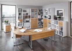 New FMD Hängeregistratur-Set Calvia Alteiche