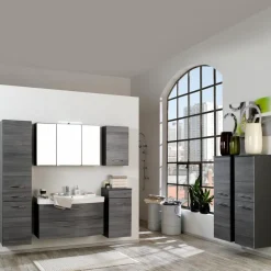 Online Held-Möbel Hängeschrank Florida Eiche Rauchsilber