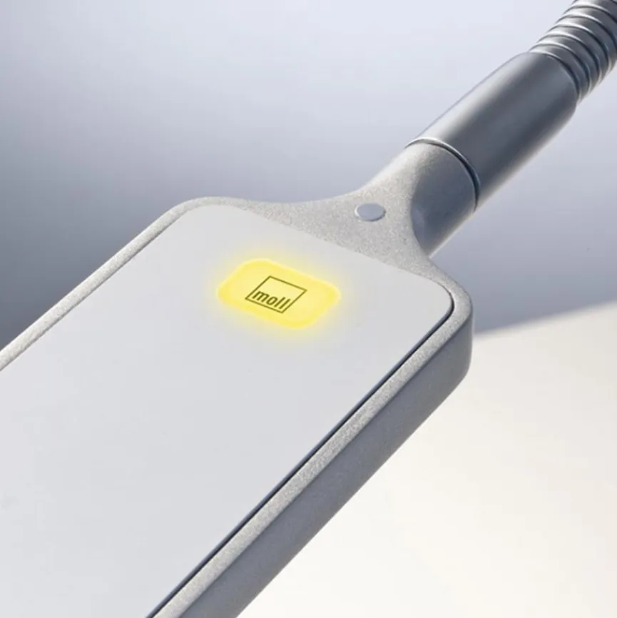 Kinder Moll LED-Schreibtischlampe Flexlight