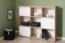 Kinder Paidi Regal Fionn