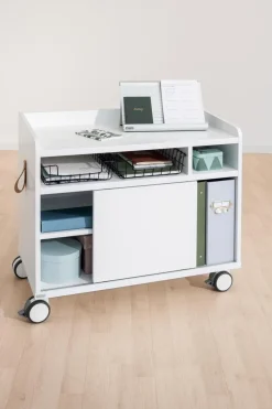 Online Paidi Rollcaddy Weiß