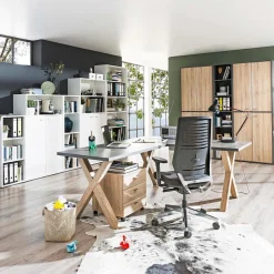 Online Mäusbacher Rollcontainer Mister Office Eiche