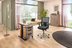 Rudolf Rollcontainer NEWwork