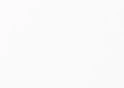 Schrankelement Nex Pur Regal