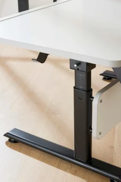 New Paidi Schreibtisch Diego Eiche-Nebraska