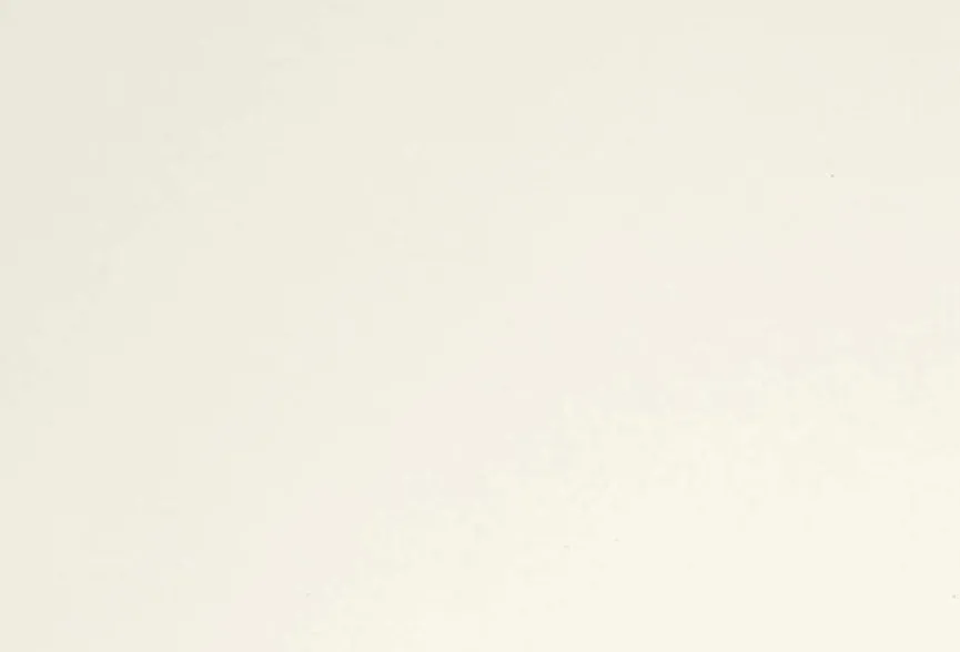 Online Paidi Schreibtisch Diego Kreideweiß