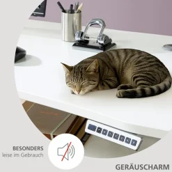 Online Innostyle Schreibtisch elektrisch Santorin Weiß / Silber