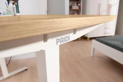 Kinder Paidi Schreibtisch e-lion 1