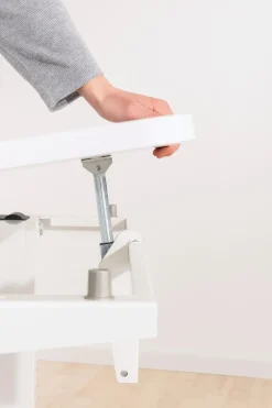 Outlet Paidi Schreibtisch Teenio 120 Rose