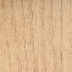 Paidi Schutzseite Kira Eiche-Nebraska