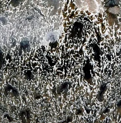 Outlet Aquanova Seifenspender Ugo Black