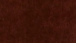 Best Willi Schillig Sessel 14820 giuudita Chocolate