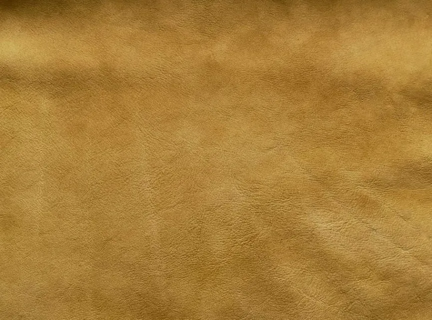 Clearance Sormani Sessel Avellino Curry