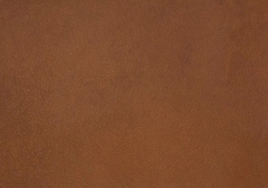 Polsteria Sessel Cody Lazyline