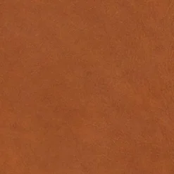 Sale himolla Sessel Finning Bright