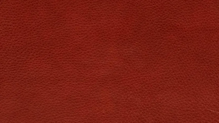 Online KOINOR Sessel Jala Reno