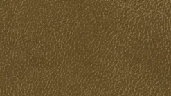 Clearance KOINOR Sessel Jody Verde