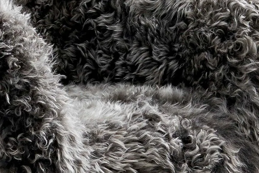 Online tommy m Sessel Lola Grey