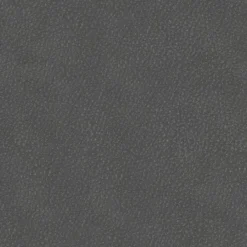 Musterring Sessel MR 261 Graphit