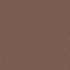 Clearance himolla Sessel Regenstauf Desert