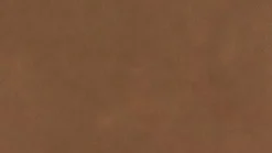 Sale Willi Schillig Sofa 18050 around-the-block Fango