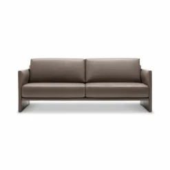 Online Rolf Benz Sofa 009 Cara Grau