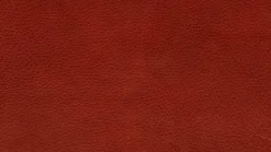 KOINOR Sofa Experio - Free Motion