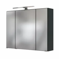 Best Held-Möbel Spiegelschrank Baabe Graphit