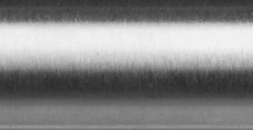 Outlet Stuhl Milano Grün